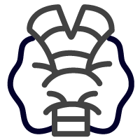 Thyroid icon